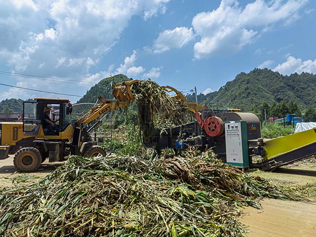 秸稈青貯粉碎機粉碎后的青貯適合多種養殖場使用